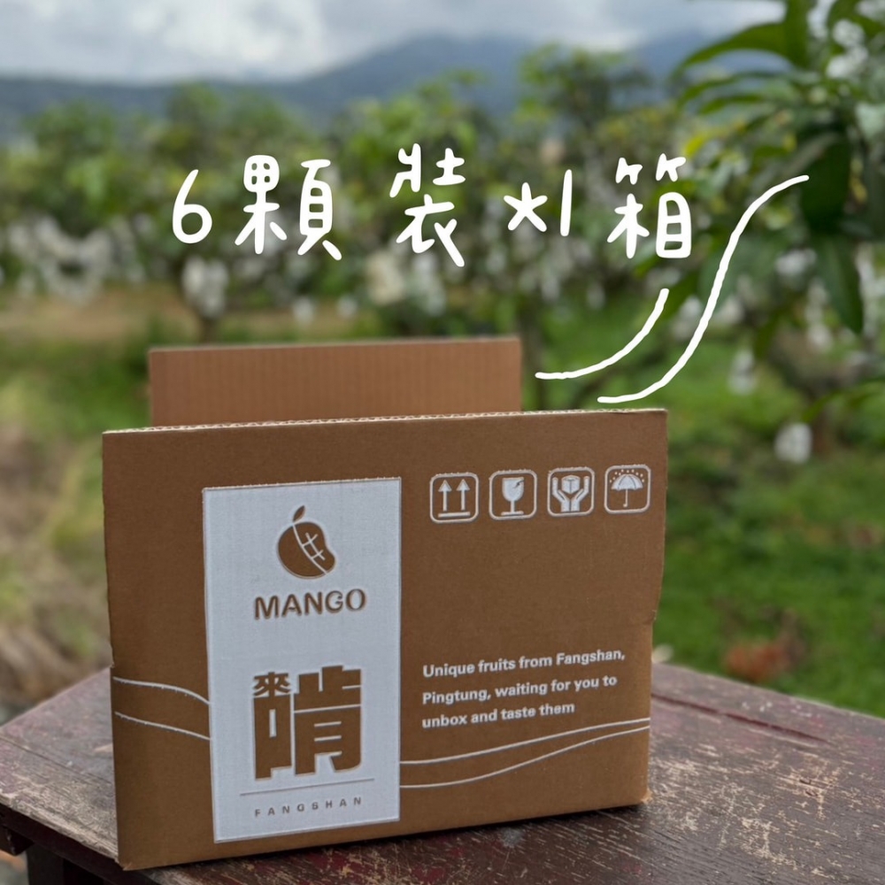 5斤裝6顆大果
