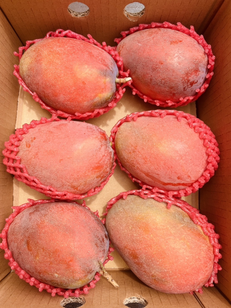 5斤裝6顆大果