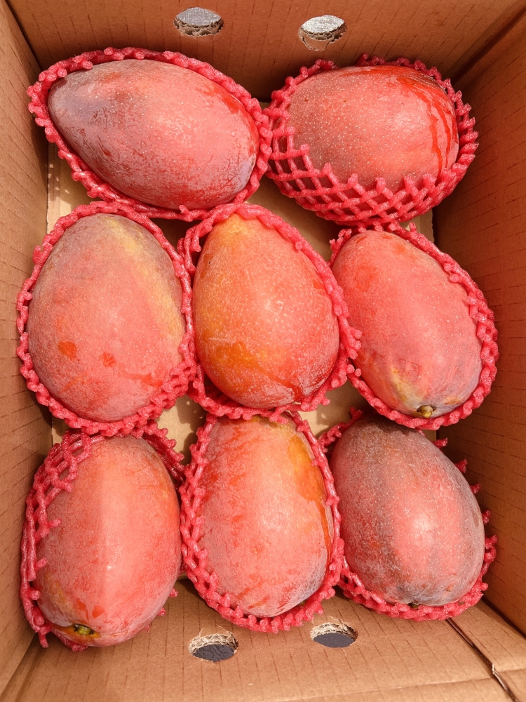 5斤裝7-8顆